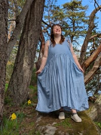 Image 1 of Tiny Blue Gingham Dress
