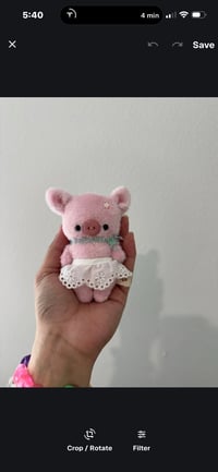 Tiny piggy girl