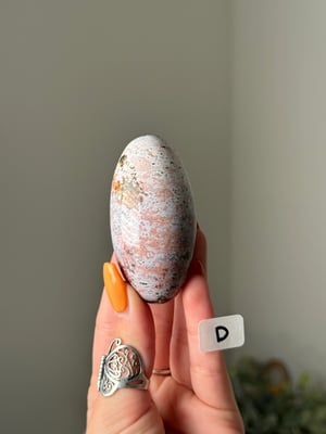 UNICORN JASPER SHIVAS