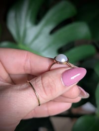 Image 3 of Rose Gold Pearl