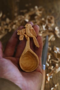 Image 5 of Long Tailed Tit Coffee Scoop. 
