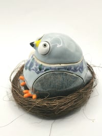 Image 3 of Pigeon 3
