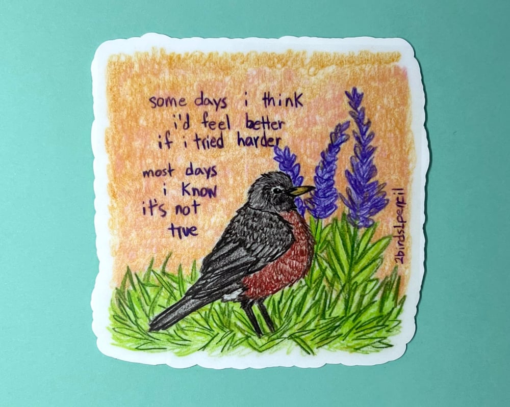 Image of Robin in wild sage vinyl sticker - inspired by lyrics from the Mountain Goats