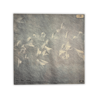 Image 2 of The Charlottes - Liar 12”