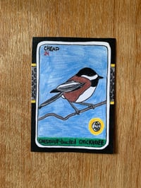 Chestnut-backed Chickadee. Single Card. 