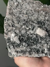 Image 2 of SELF STANDING COOKIES AND CREAM COLOMBIAN NEEDLE QUARTZ