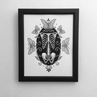 Image 1 of Skeleton With Moths And Butterflies Original Drawing