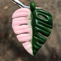 Image 2 of SALE Pink Half-Moon Monstera Leaf (slightly imperfect) 