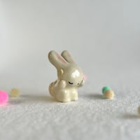 Image 1 of Bunny Washing #2