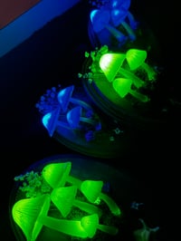 Image 4 of Mushroom wooden frame LED