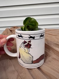 Image 3 of Hindu Rope Plant in Siamese Cat Mug