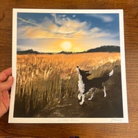 Image 1 of Golden Hour - Archive Quality Print