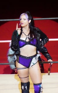 Image 1 of Worn Gear - Purple 