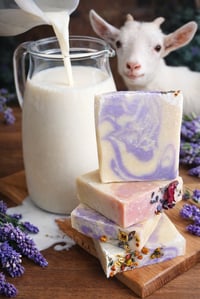 Milky Lavander