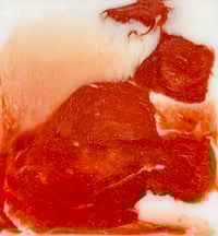 Sweet Rose Yoni & Body Bar