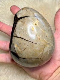 Image 5 of Septarian Egg With Calcite #2420