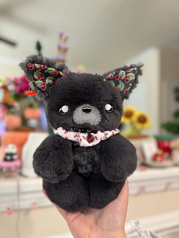 Image of roxie 🦊🍒