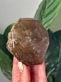 Image 2 of SMOKEY GOLDEN RUTILE IN QUARTZ HALF POLISHED FREEFORM -BRAZIL-