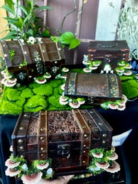 Image 1 of Wooden boxes LED