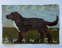 Cocker Spaniel