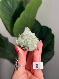 Image 15 of CHOOSE YOUR OWN SMALL PREHNITE CLUSTER -INDIA-