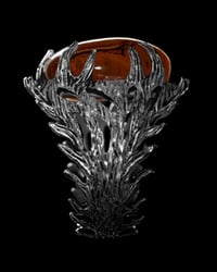 Image 3 of TORVUS