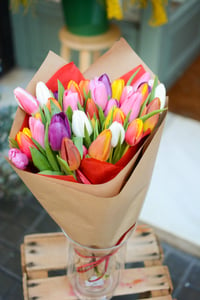 Image 4 of Tulipanes Mix