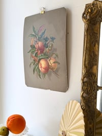 Image 6 of Ancienne illustration botanique