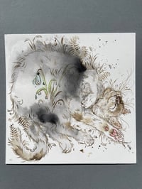 Image 3 of Dreamer - Kitty Cat Study 
