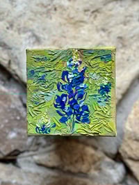 Bluebonnet 