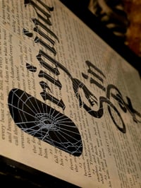 Image 7 of "Original Sin" 1800s Bible Page & Preseved Web 