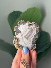 Image 1 of DOUBLE SIDED LAGUNA AGATE SLICE I WITH PARALAX