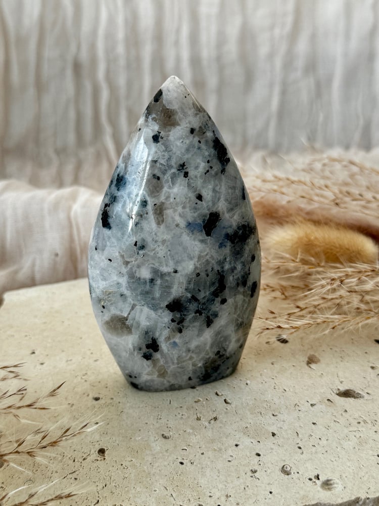 Image of Rainbow Moonstone Teardrop 