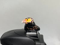 Image 1 of California Condor Hotshoe Cover