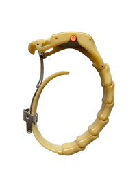 Image 2 of '99 Cabane de Zucca "Backbone" Watch