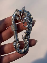 Image 2 of Blossom - Carabiner 