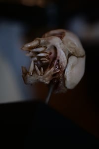 Image 14 of Vampire fetal skull, original art, dark academia