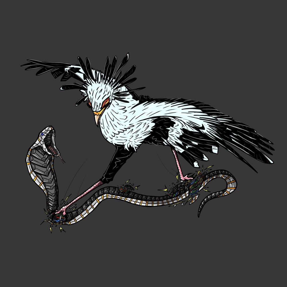 Image of African Secretary Bird