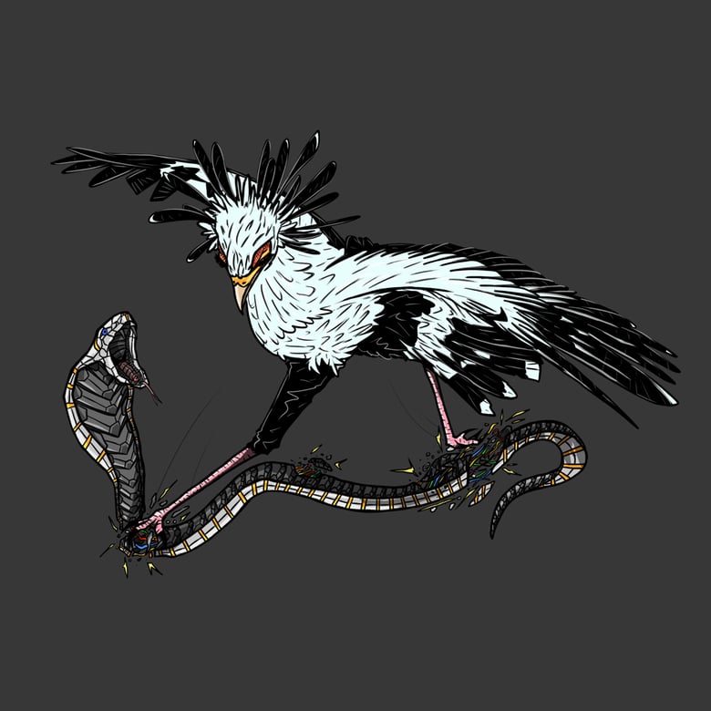 Image of African Secretary Bird