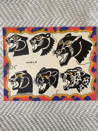 Image 1 of Panthers