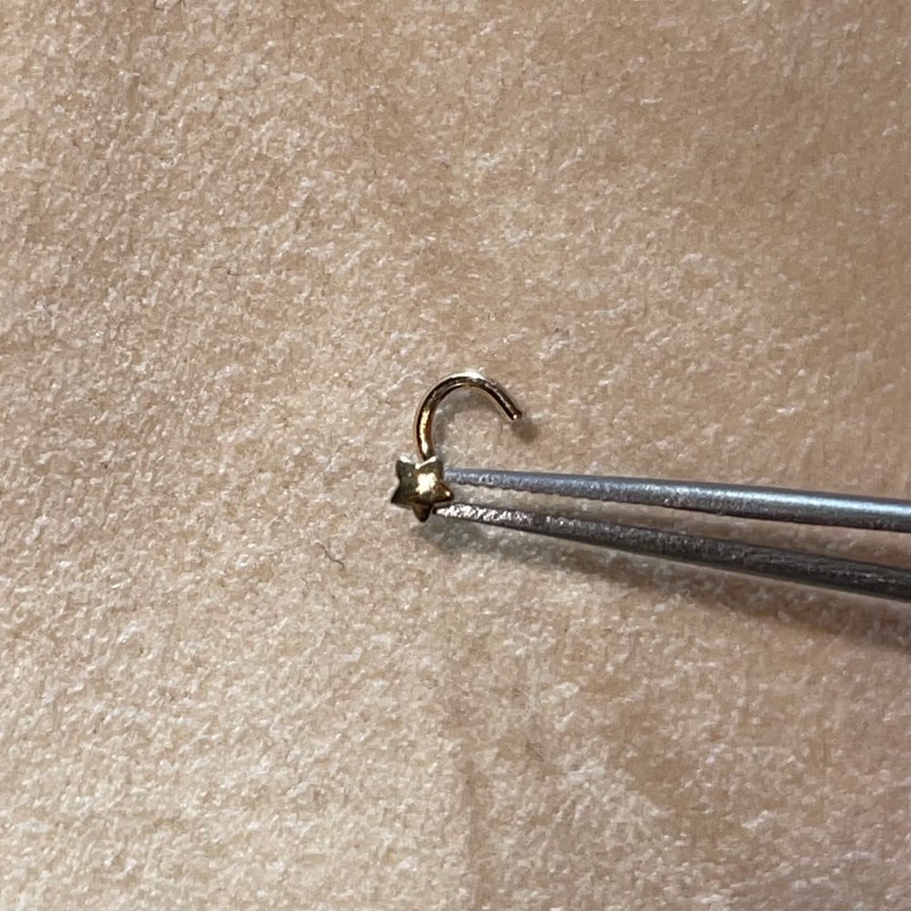 Image of 14k gold plain star nose screw in piercing 