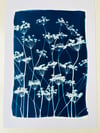 Original Flowering Cyanotype