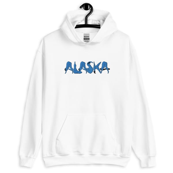 Image of Icy Alaska Heavy Blend Hoodie 