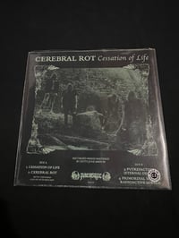 Image 2 of CEREBRAL ROT -“Cessation Of Life”