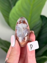 Image 4 of SMALL SANGRIA LACE AGATE SHIVAS