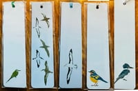 Image 1 of UK Birding Bookmarks - Various Designs Available