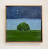 Image 1 of ‘Half Moon Over The Lake’ 