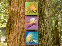 Image 5 of Flies (Options)