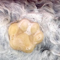 Image 2 of Dog Shampoo Bar