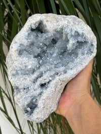 Image 24 of Celestite Geode #1801